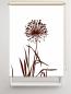 Preview: Rollo Allium 24 blanco coffee, Rollo, Motivrollo, Rollo mit Druck, Fotorollo, bedrucktes Rollo, Fensterrollo,verdunkelndes Rollo, Sonnenschutz Rollo
